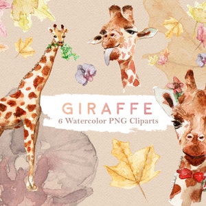 Giraffe Clipart Aquarell Safari Wildtier Dschungel Baby Giraffe Zoo Digital Download Einladung Paint Planner