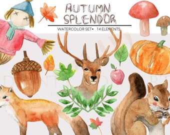 Autumn Clipart, Watercolor, Fall, Thanksgiving, Woodland Deer Fox Squirrel Pumpkin Halloween, Digital Download, Invitation, Original Paint