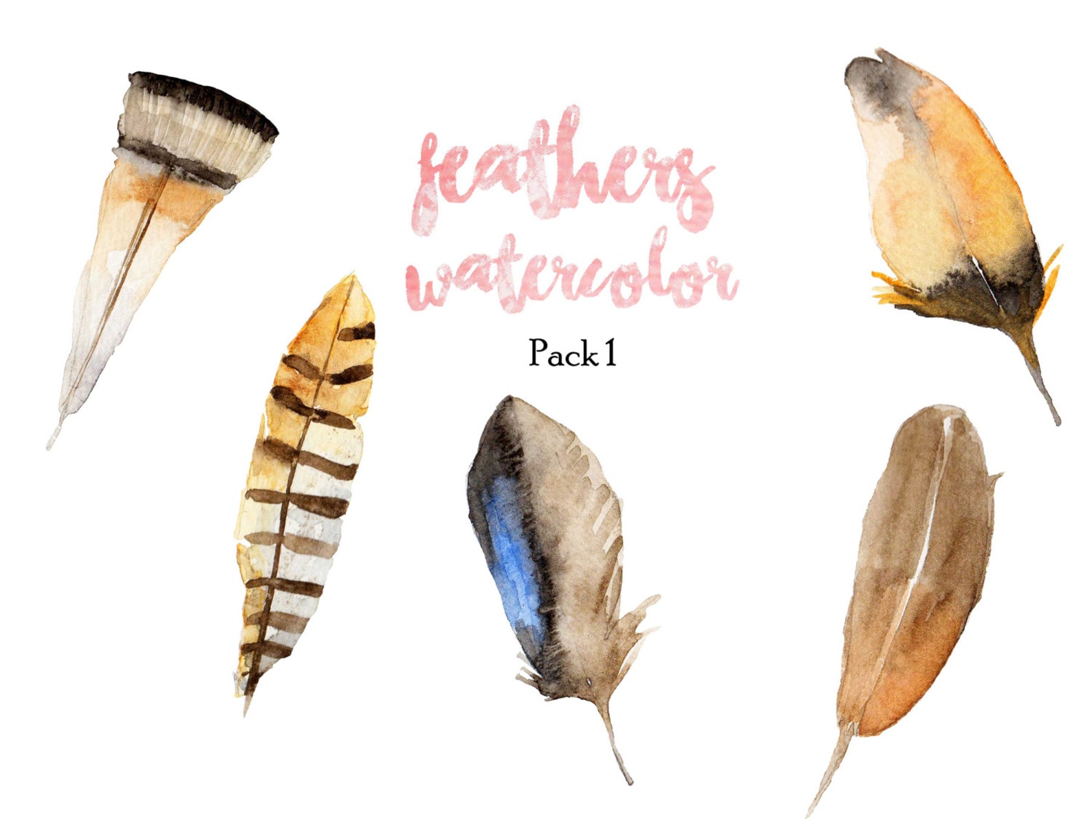 Feathers Clip Art / Watercolor Clip Art / Stock Image / Digital ...