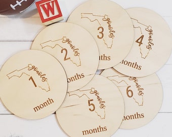 Go Noles Florida State Baby Milestone Photo Marker Photo Prop Wooden Round Discs