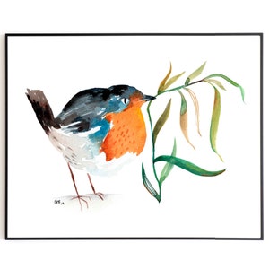 Robin Watercolor Bird Print