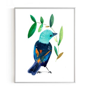 Seven Colored Tanager Bird Print