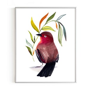 Summer Tanager Bird Print