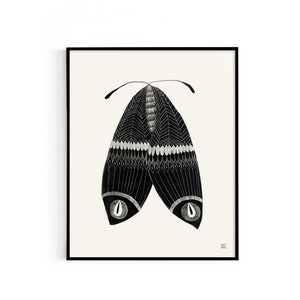 Moth in Black & White Print