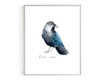 Raven Watercolor Print