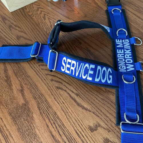 The MADELINE Service Dog Harness Custom Working Dog Harness Etsy