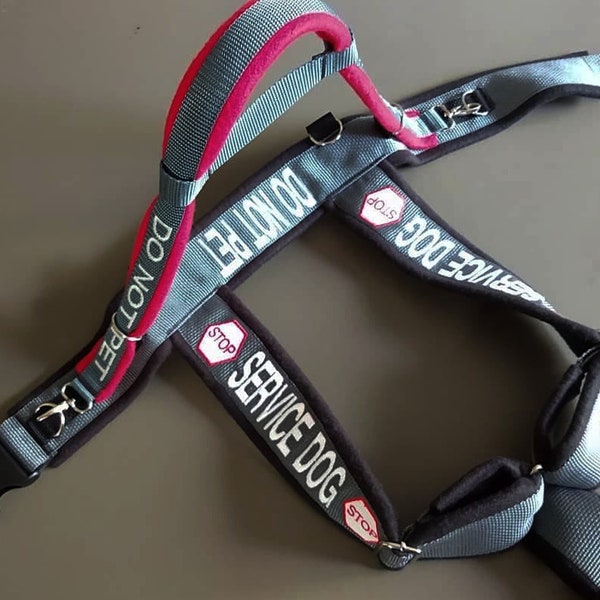 Custom Y-Front Service Dog Harness