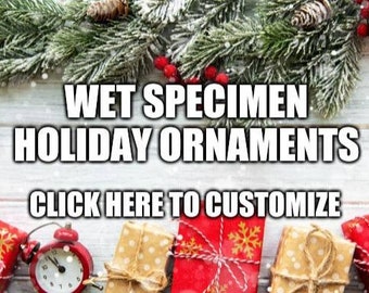 Wet Specimen Holiday Ornaments