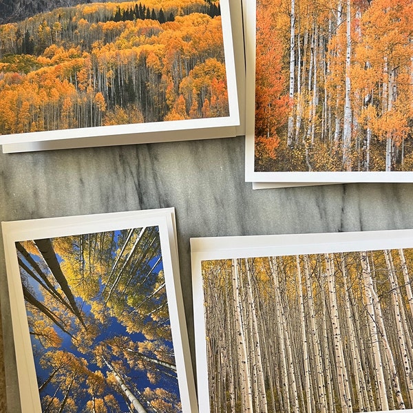 Faboulous Fall Collection, set of 4 photo note cards, Landscape Photo Greeting Cards- A6 size, Colorado Photography