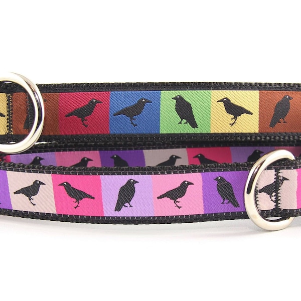 The Black Beauties Dog and Cat Collar