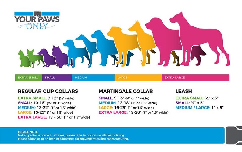 The Sweet Treats on Blue Dog Collar