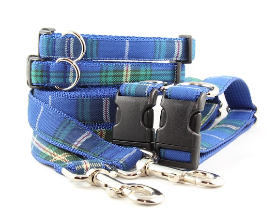 Tartan top dog collar