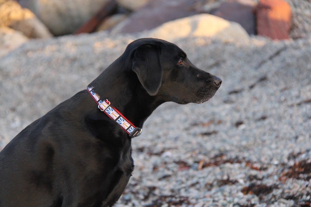 Newfoundland Flag Dog Collar 1 wide Etsy