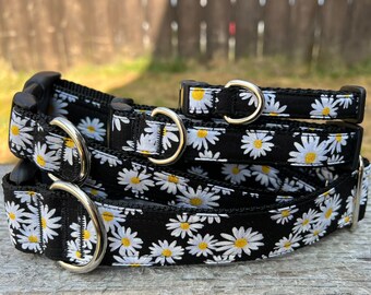 Sweet Daisies Dog and Cat Collar