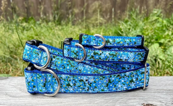 Forget Me Not Dog and Cat Collar Etsy