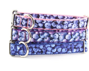 blueberry adjustable breakaway cat collar