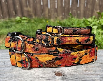 Leaves of Fall Dog and Cat Collar