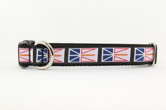newfoundland dog collar