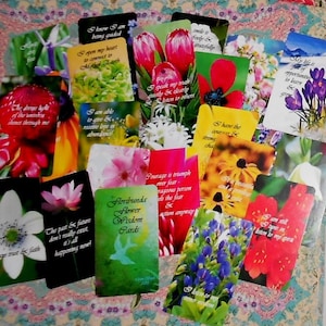 Floribunda Flower Wisdom Cards 52 baraja de cartas por Lynn Boyle. Flamante. Autopublicado.