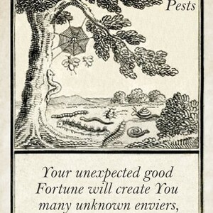 May include: A black and white illustration of a tree with a spider web, a snake, and various insects. The text "30 Pests" and "Your unexpected good Fortune will create You many unknown enviers, who shall grudge you it." is below the illustration.