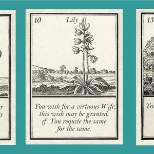 May include: Three vintage fortune telling cards with black and white illustrations. The first card shows a dog with the number 9 and the text "Dog. You will easily find better Friends among Strangers than Among your own Relations." The second card shows a lily with the number 10 and the text "Lily. You wish for a virtuous Wife, this wish may be granted, if You requite the same for the same." The third card shows a sun with the number 13 and the text "Sun. You will make an unexpected fortune, use it so that no body may Covet it."