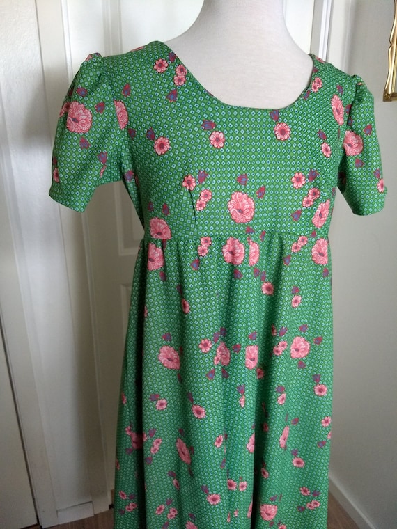 Vintage Empire Waist Dress, Apple Green, Red Flow… - image 2