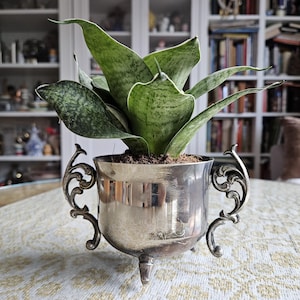 Pequeno vaso de flores banhado a prata/plantador vintage/presente de inauguração de casa