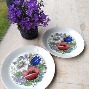 Paar Arabia Finland, Valmu Kuchenteller, Botanisch, Floral, Skandinavisch Vintage