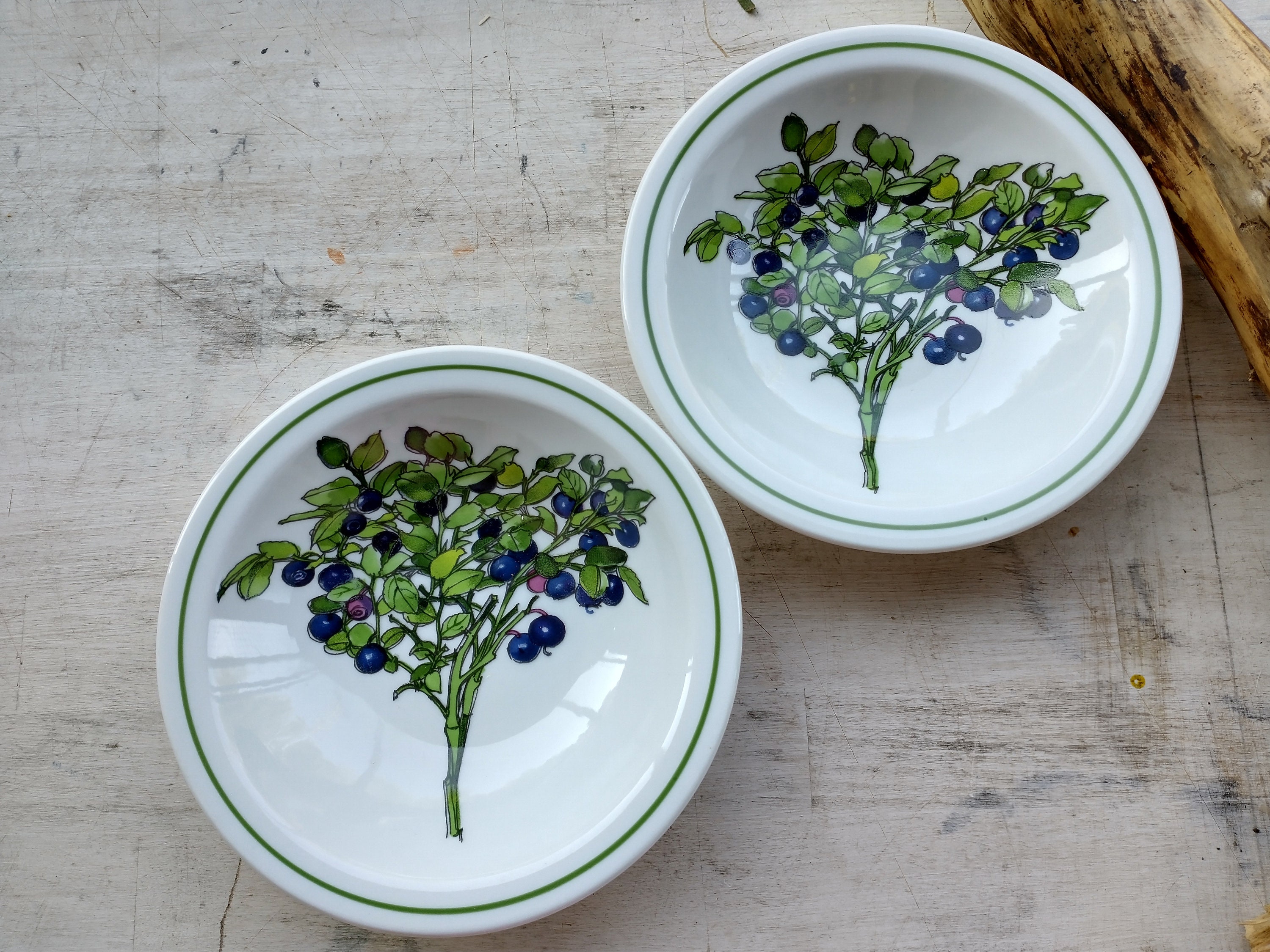 Paar IKEA Dessertschalen, Marguerite Wilfridson Accenten Spal Portugal, Botanical