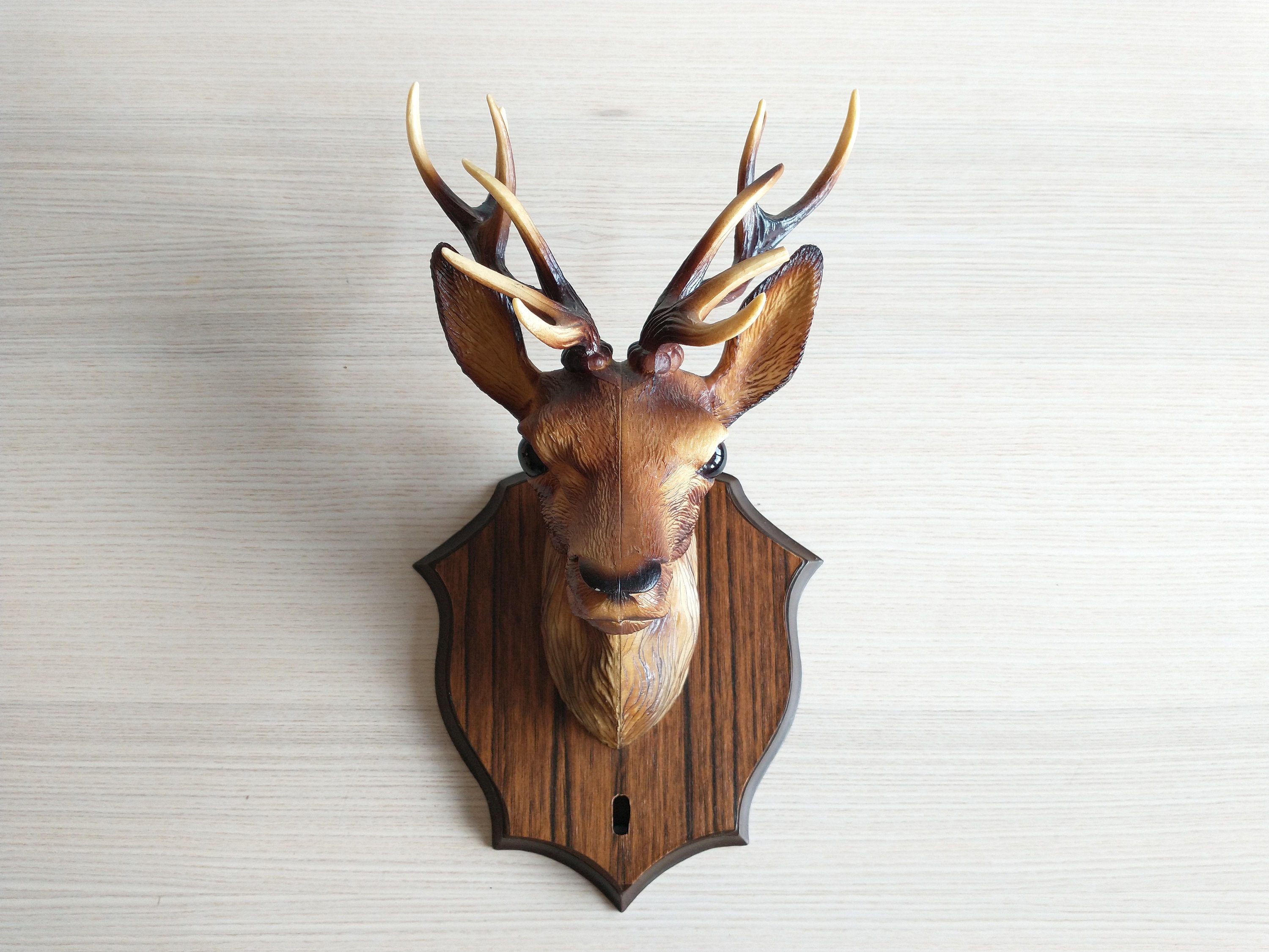 Deerヘッド Amazon.com: Zeckos 12 Point Buck Deer Head Bust Resin Wall