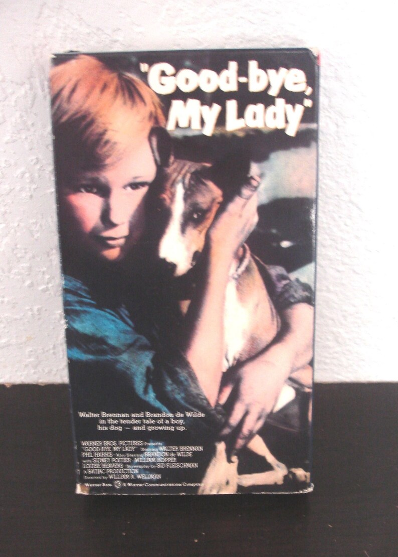 Buy Bye Beauty Full Movie