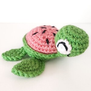 Shimmer Watermelon Turtle Crochet Amigurumi