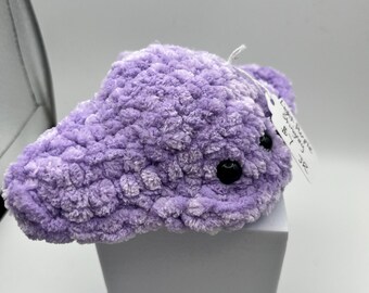 Light Purple Stingray