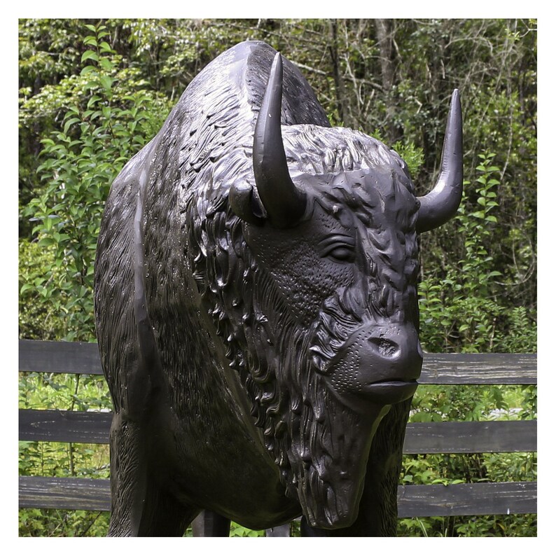 Bronze Painted Buffalo Life Size Statue in Metal Bison Huge Etsy