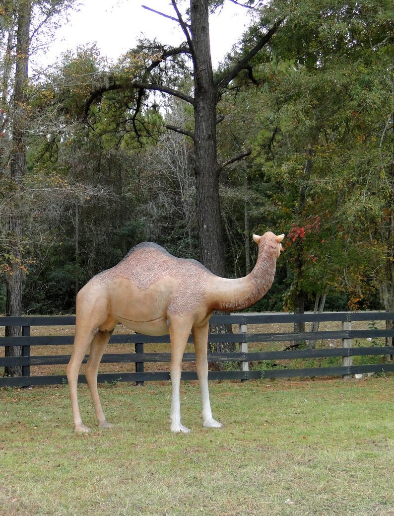 life size camel statue