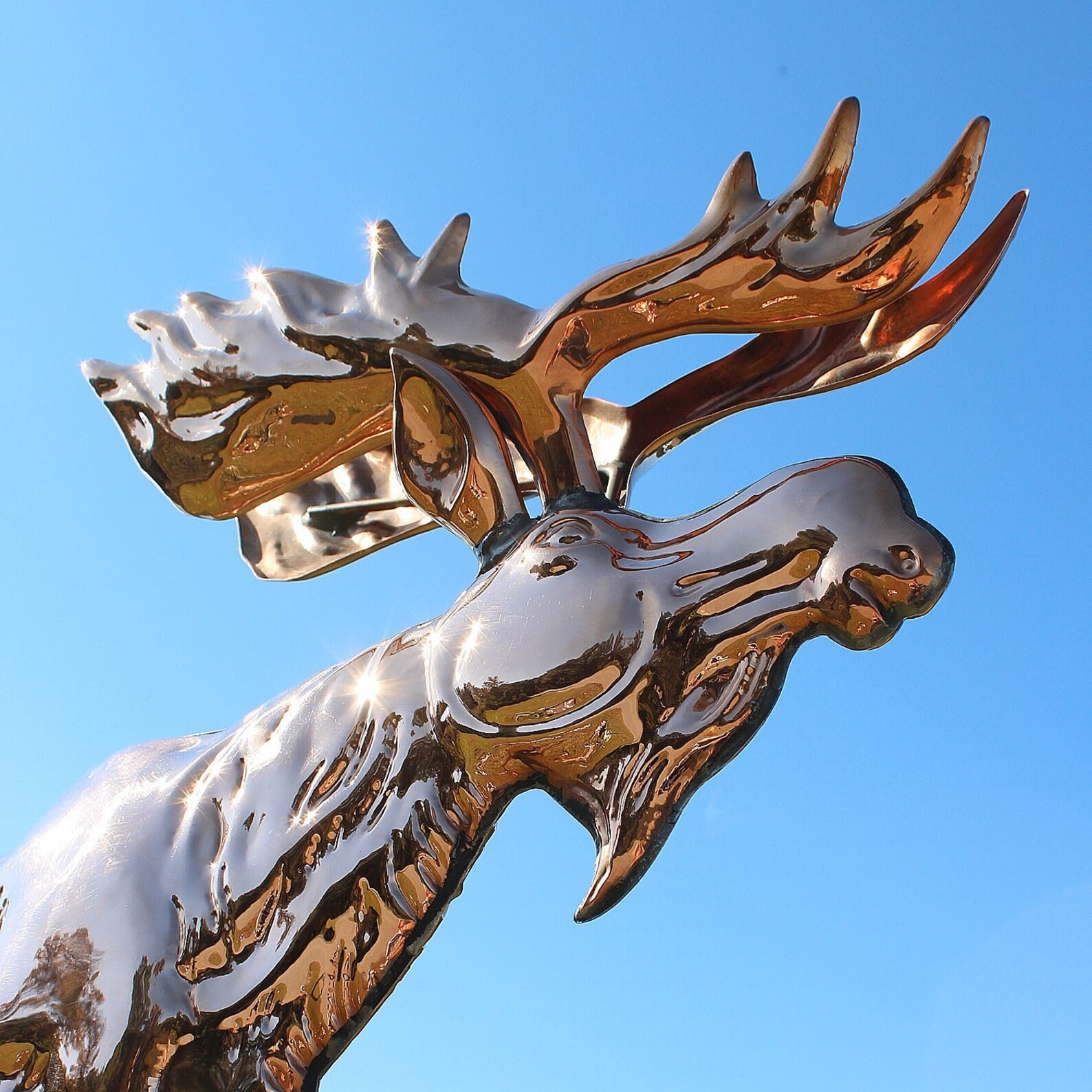 Moose Weathervane in Copper With Directionals 34 Long Etsy