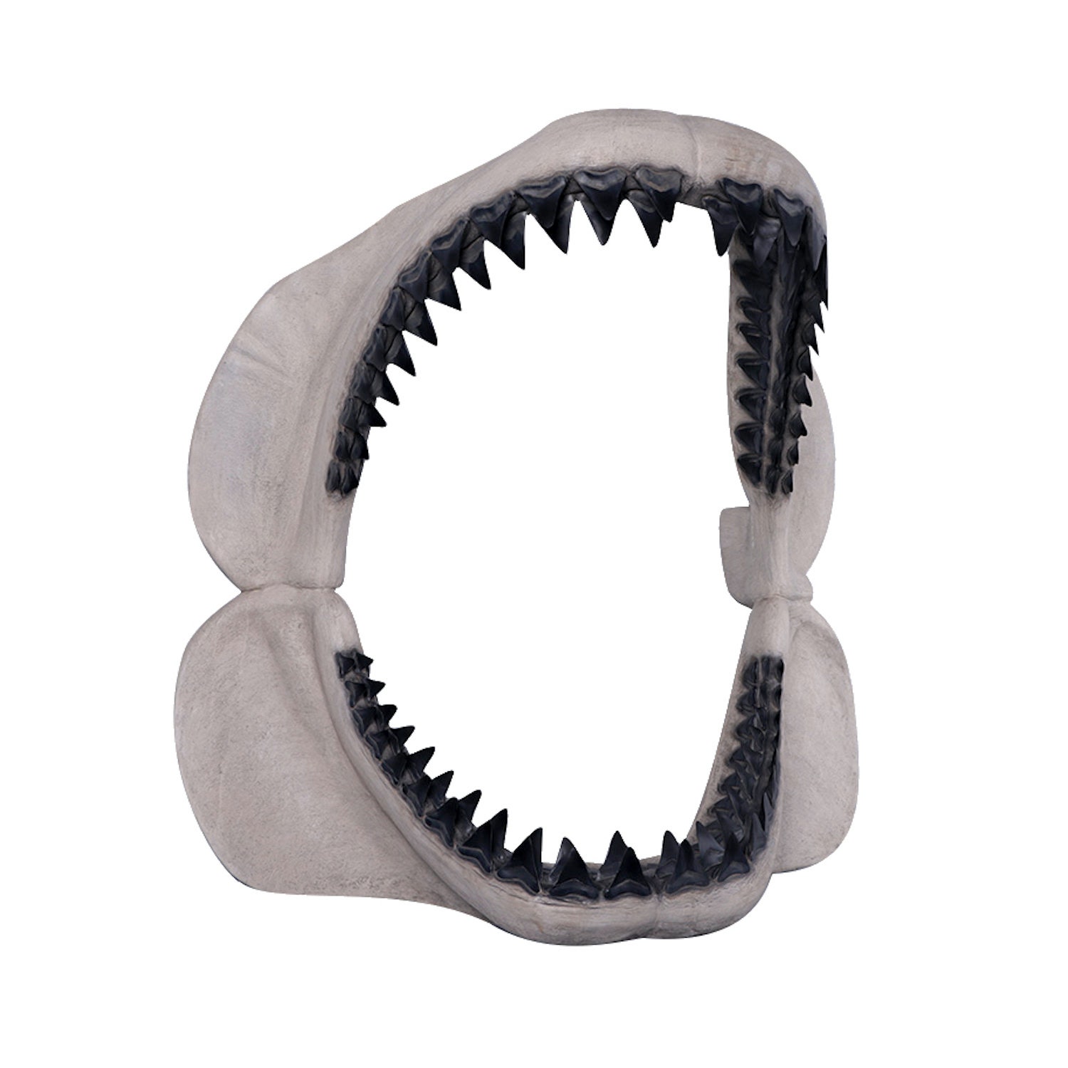 Life Size Megalodon Shark Jaw With Teeth 50 Inch - Etsy