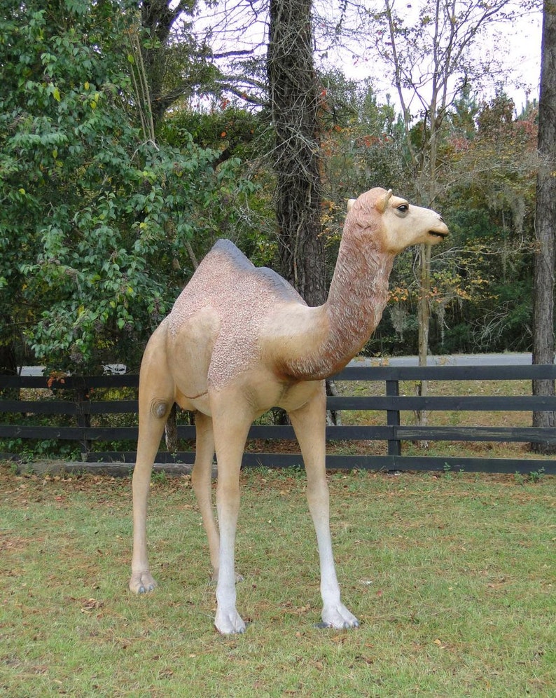 life size camel statue