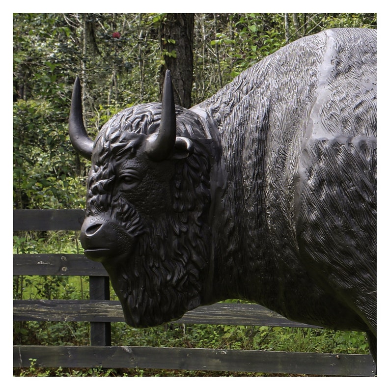 Bronze Painted Buffalo Life Size Statue in Metal Bison Huge Etsy