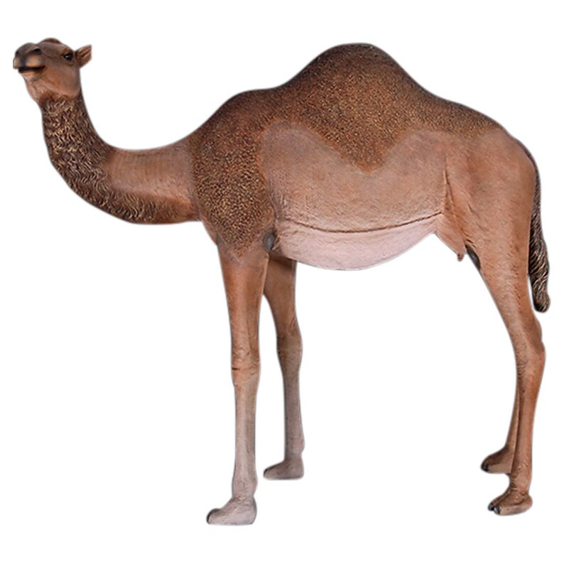 Life Size Mike The Camel Statue Sculpture Big Hump Day ...