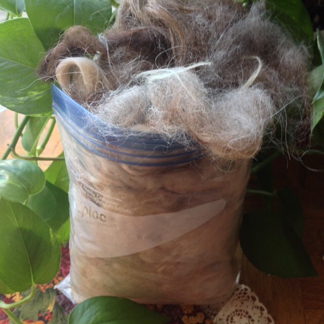 Bird Nesting Filler, Alpaca Fiber, Llama Fiber, Bird, Eco Friendly