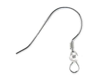 May include: Silver earring hook with a small ball at the end.