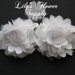 see more listings in the Small/Medium Flowers section
