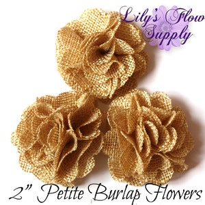 May include: Three 2-inch burlap flowers in a light brown color.  "Lily's Flower Supply" is written in purple text in the top right corner of the image.  "2" Petite Burlap Flowers" is written in black text at the bottom of the image.