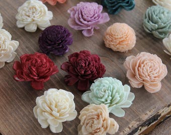 Sola Flower Samples, Sample Sola Wood Flowers, Color Sample, Sample Color, Flower Sample, Sample Flower, Sola Wood Flowers, Sola Flowers,