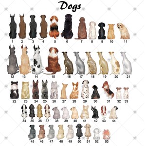 May include: A chart of 53 different dog breeds, each illustrated in a cartoon style, with the breed's number listed below each image. The chart is titled "Dogs".