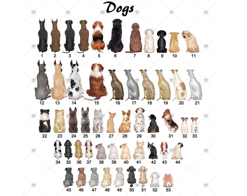 May include: A chart of 53 different dog breeds, each illustrated in a cartoon style, with the breed's number listed below each image. The chart is titled "Dogs".