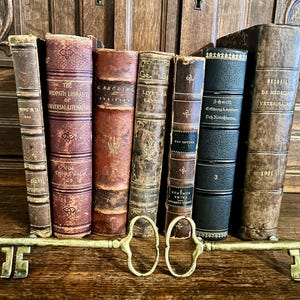 Può includere: Una collezione di libri antichi con copertine in pelle in varie tonalità di marrone e nero. I libri sono disposti su una superficie di legno, con una chiave decorativa in ottone in primo piano. Sono visibili alcuni titoli di libri, tra cui "The Ridpath Library" e "Recueil de Medecine Veterinaire".