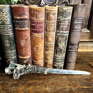 Vintage alemán ciervo cuerno ciervo asta cortador de cigarros y abridor de cartas raro tabaco caballero escritorio accesorio de regalo