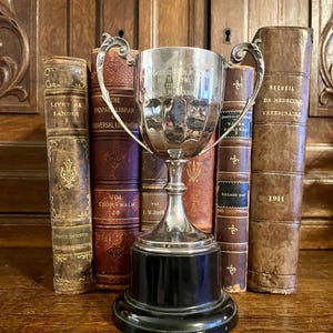 Vintage Silver Golf Trophy - Etsy